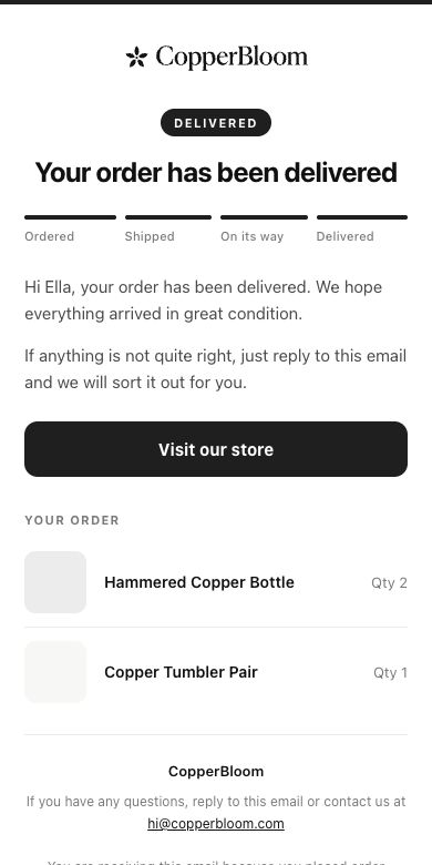 Delivered email preview